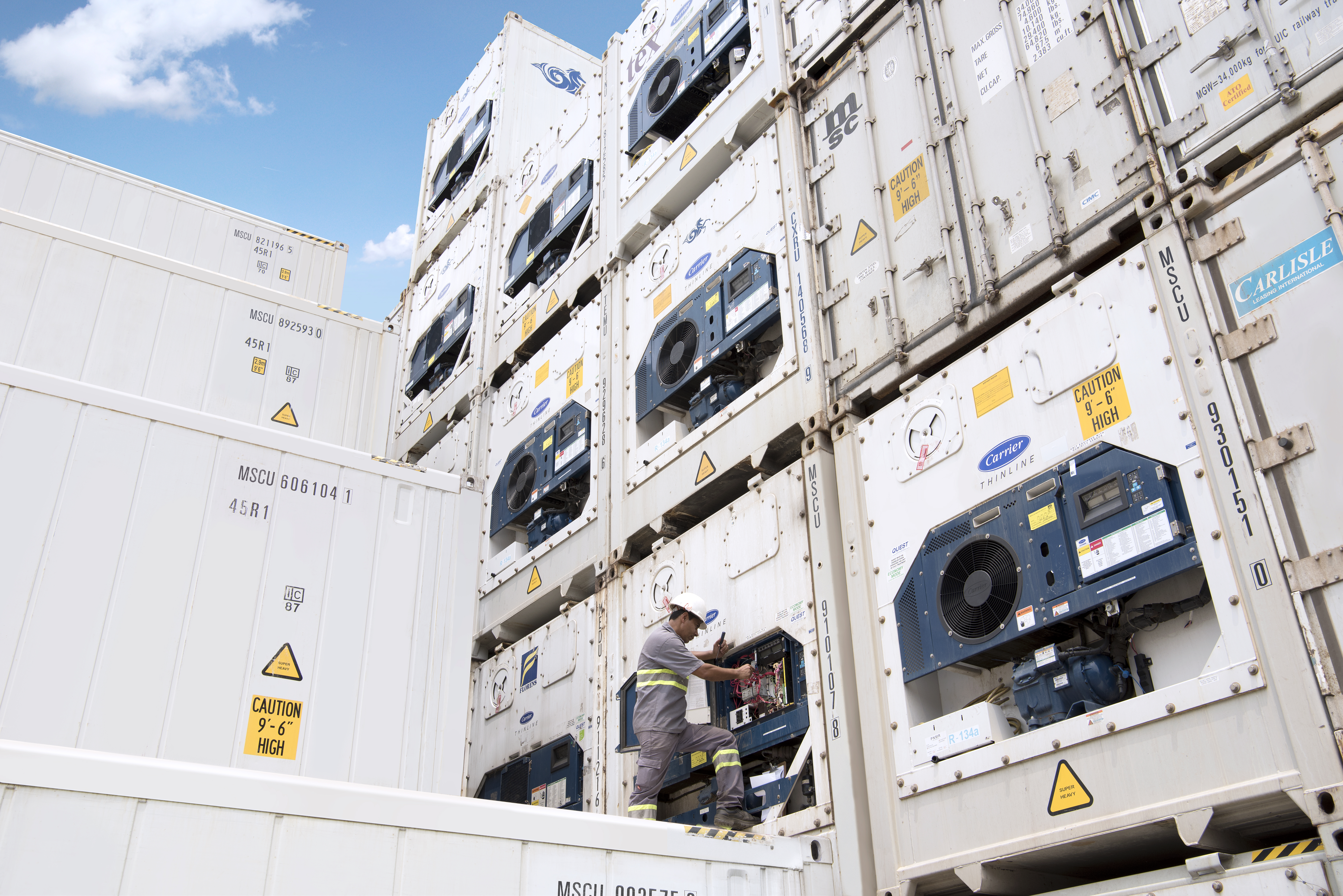 Reefer Logistics